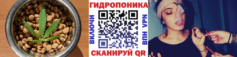 Canna-Cookies конопля Похвистнево