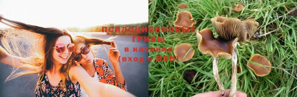 mix Мегион