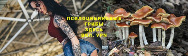 mix Алексин